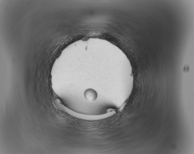 X0000111951441200908241153
