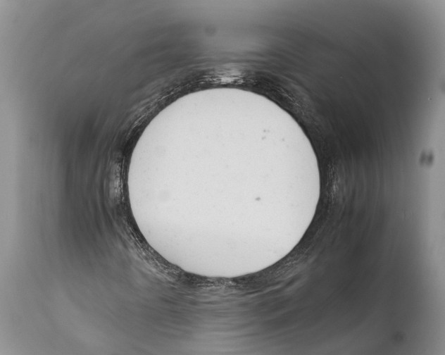 X0000111951442200908241153