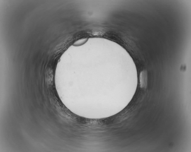 X0000111951443200908241153