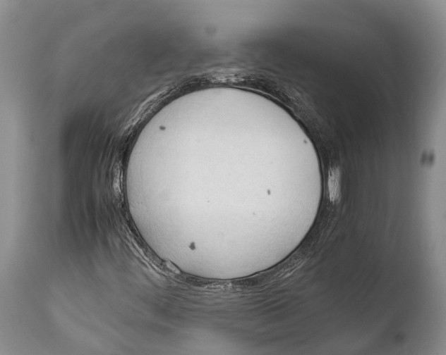 X0000111951444200908241153