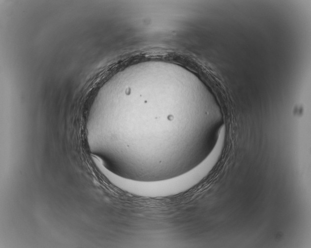 X0000111951445200908241153