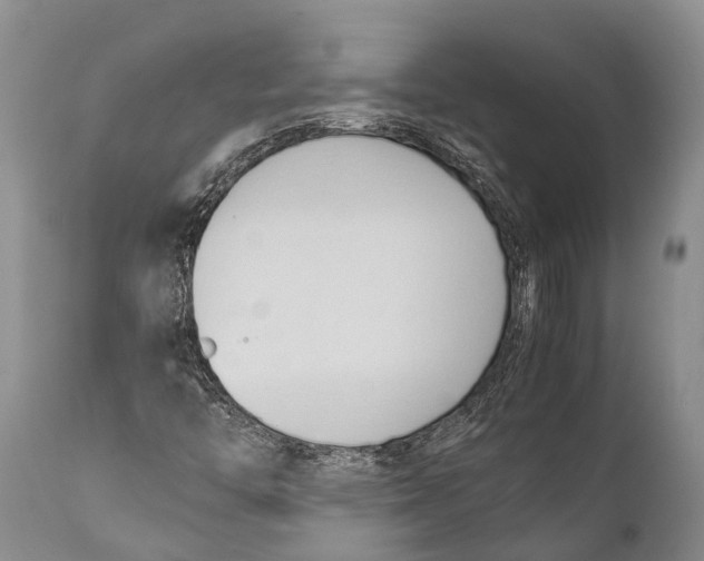 X0000111951446200908241153