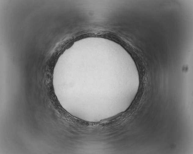 X0000111951447200908241153