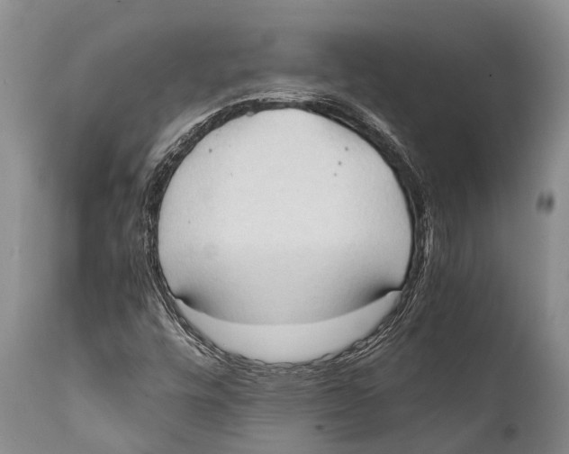 X0000111951448200908241153