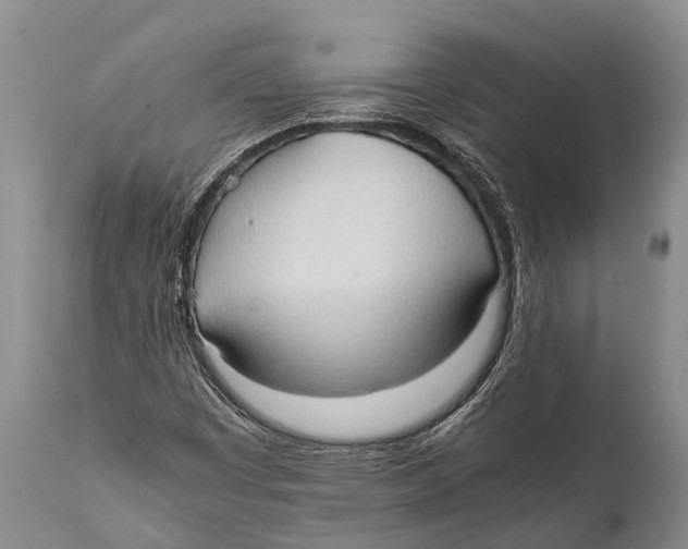 X0000111951449200908241153