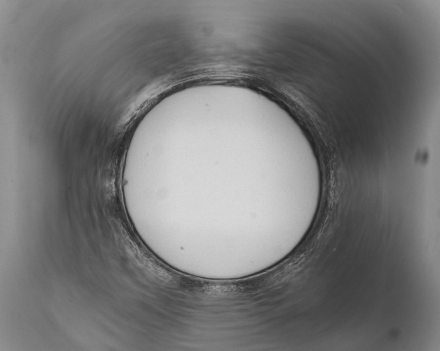 X0000111951451200908241153