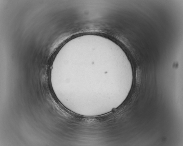 X0000111951452200908241153