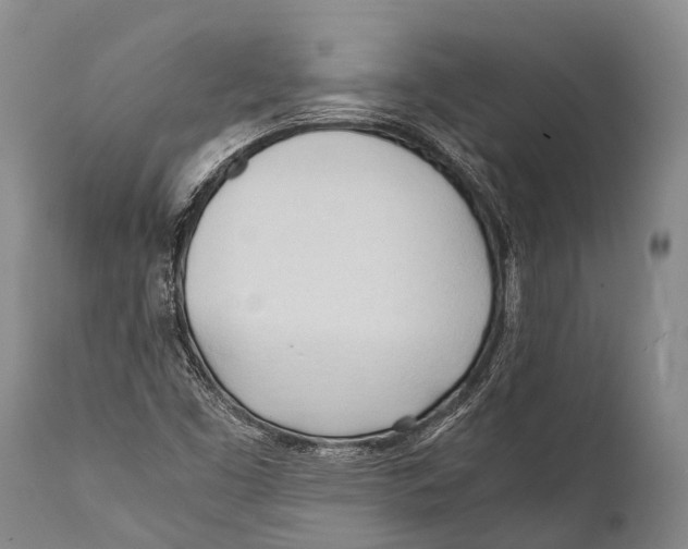 X0000111951453200908241153