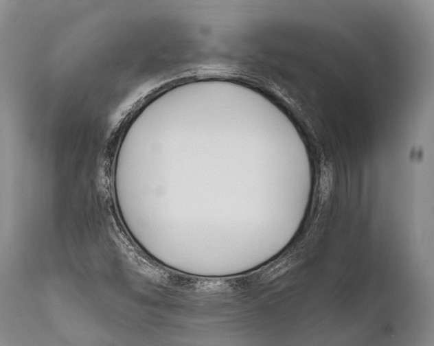 X0000111951454200908241153