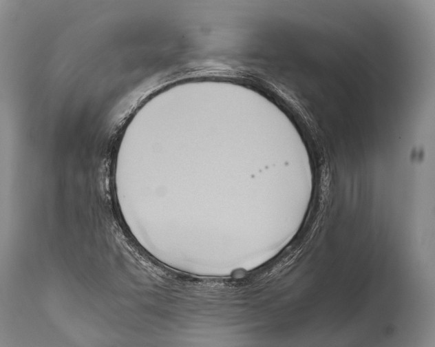 X0000111951455200908241153