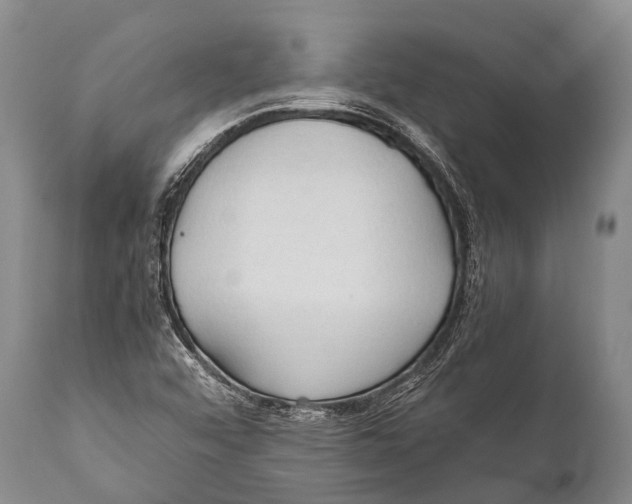 X0000111951456200908241153