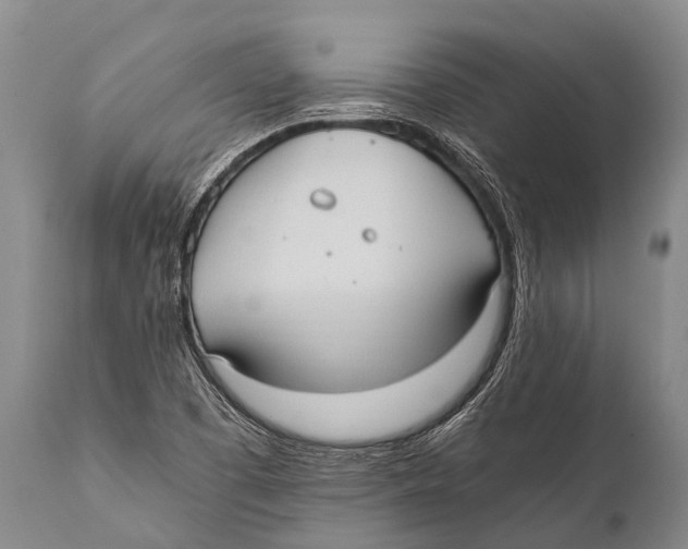 X0000111951457200908241153