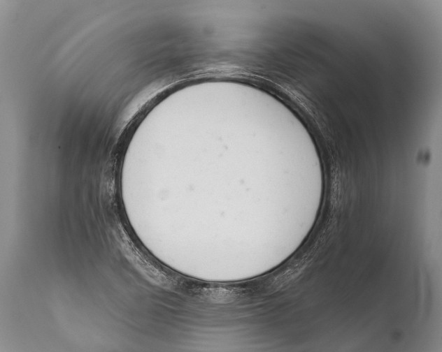 X0000111951458200908241153