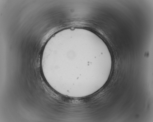 X0000111951459200908241153