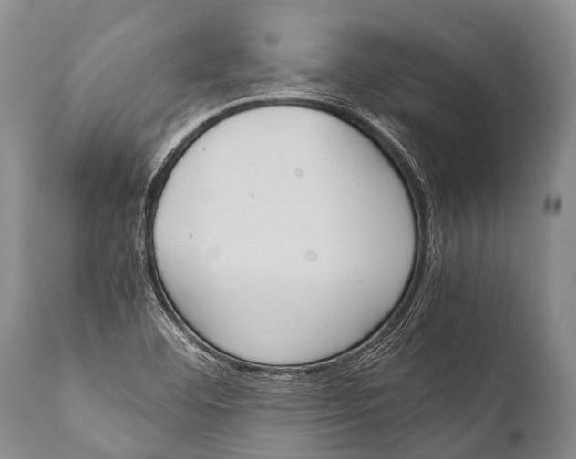 X0000111951460200908241153
