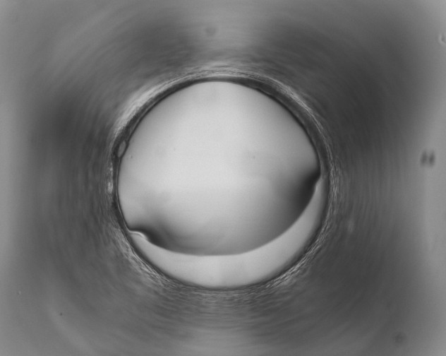X0000111951461200908241153