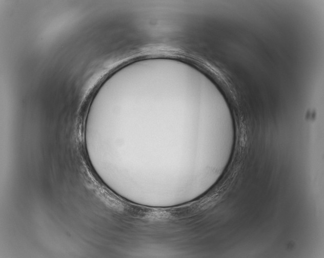 X0000111951462200908241153