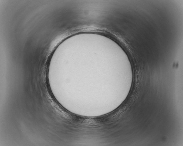 X0000111951463200908241152