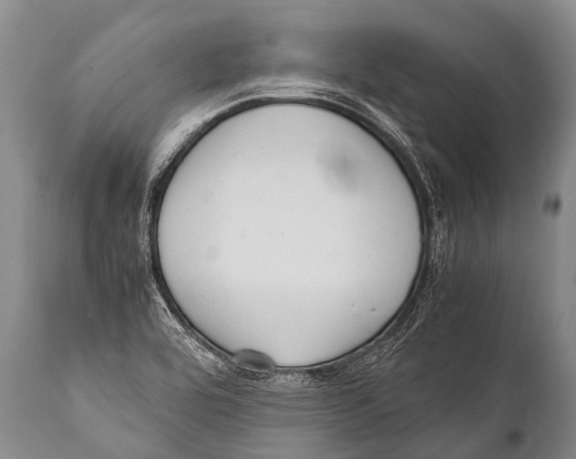 X0000111951464200908241152
