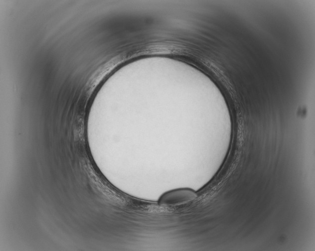 X0000111951465200908241152
