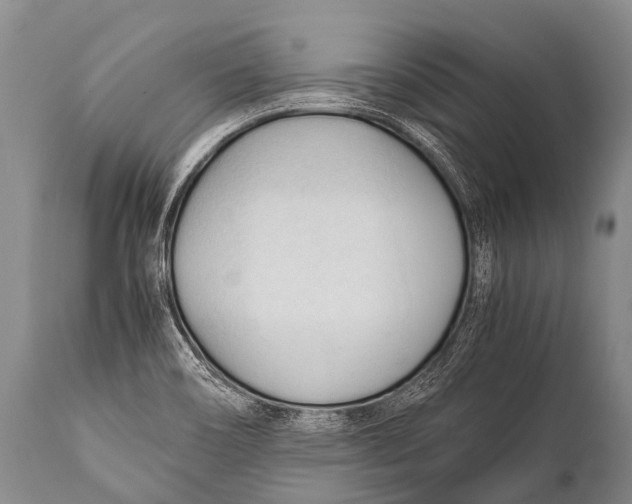 X0000111951466200908241152