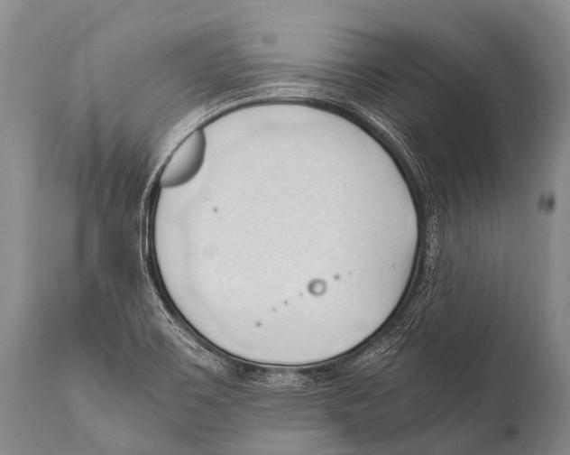 X0000111951467200908241152