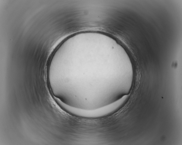 X0000111951468200908241152