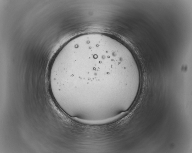 X0000111951469200908241152