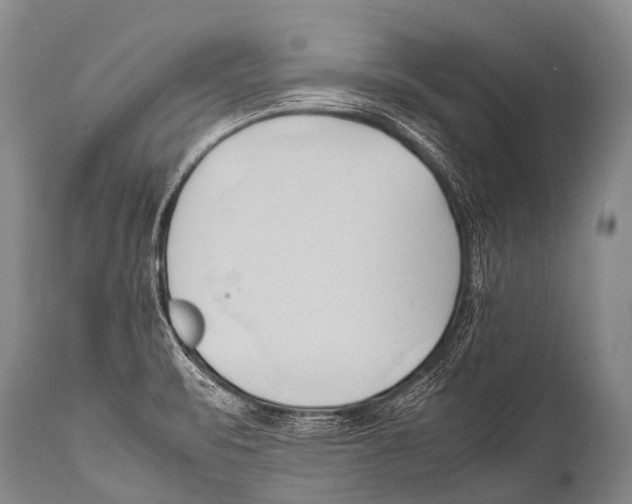 X0000111951471200908241152