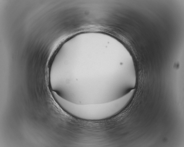 X0000111951472200908241152