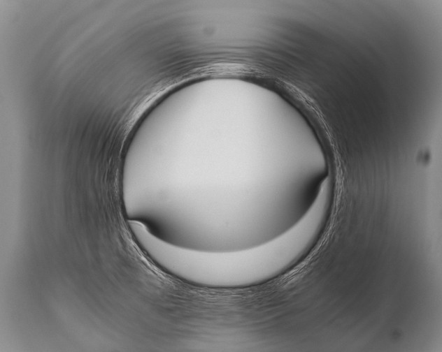 X0000111951473200908241152