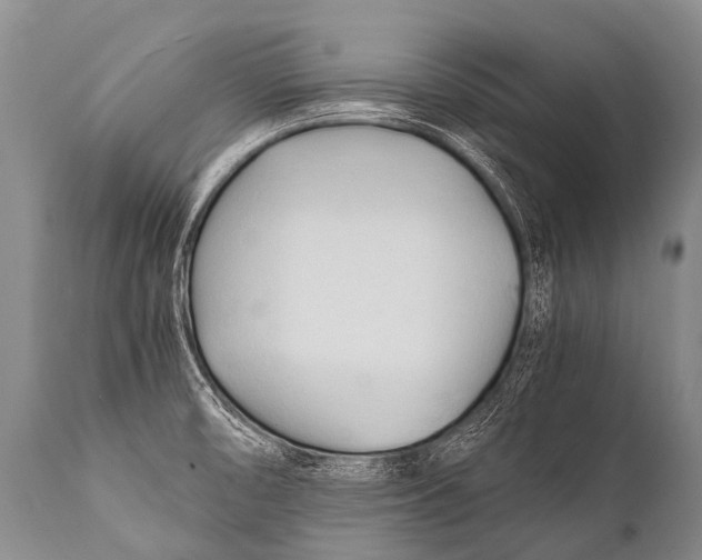 X0000111951474200908241152