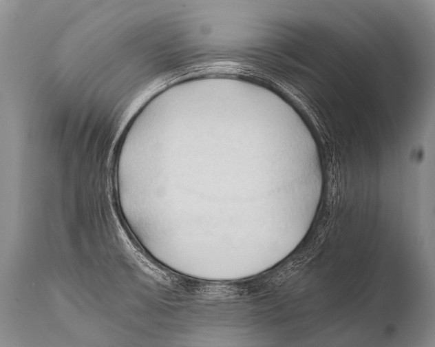 X0000111951475200908241152