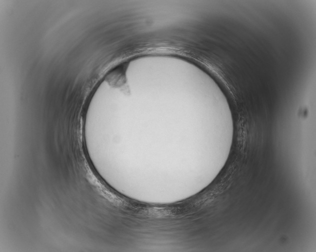 X0000111951476200908241152