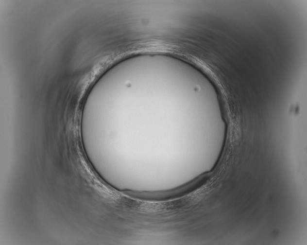 X0000111951477200908241152