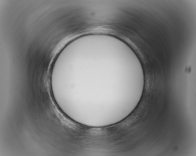 X0000111951478200908241152