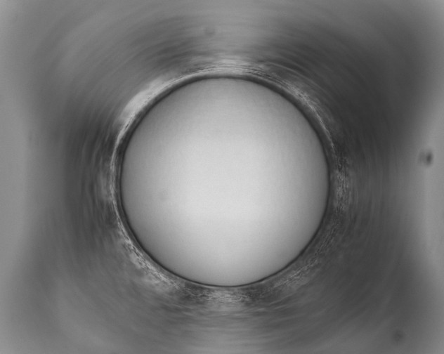 X0000111951480200908241152
