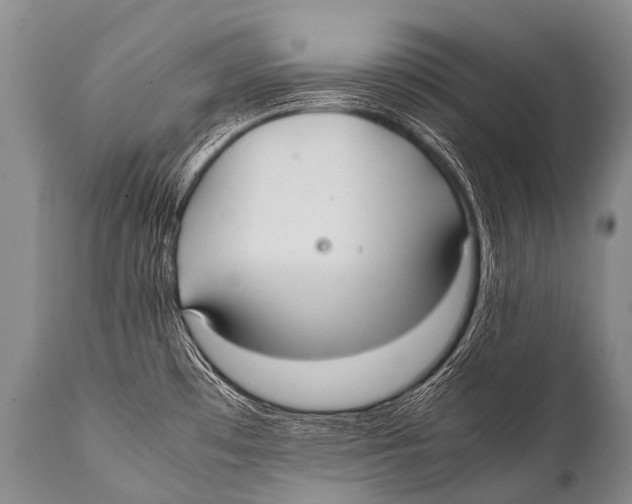 X0000111951481200908241152