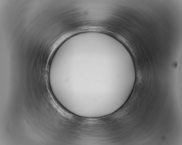 X0000111951482200908241152