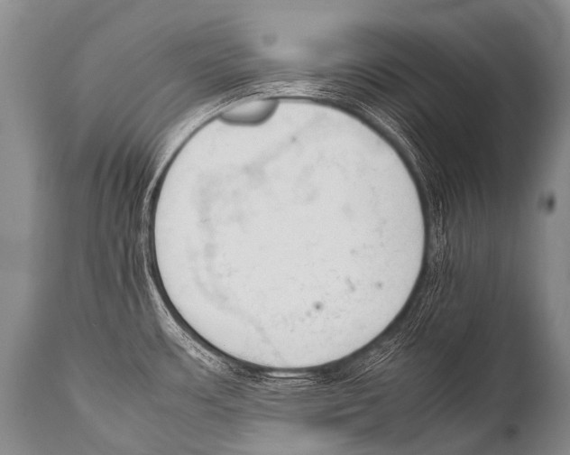 X0000111951483200908241152