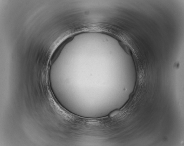 X0000111951484200908241152