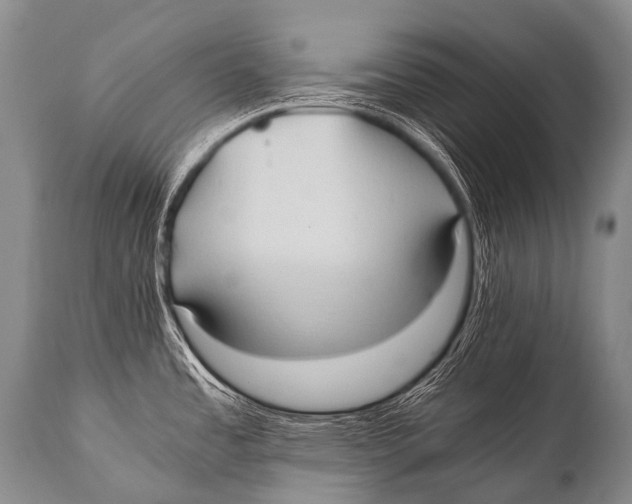 X0000111951485200908241152