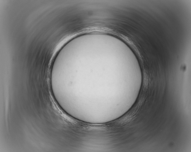 X0000111951486200908241152
