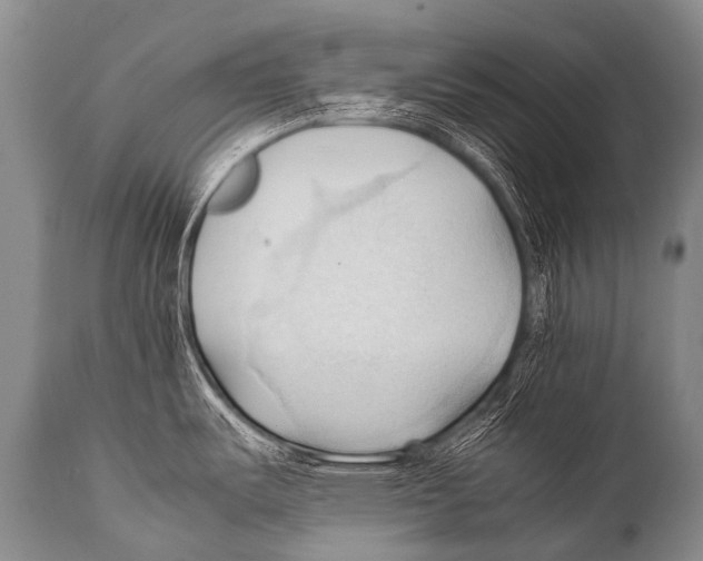 X0000111951487200908241152