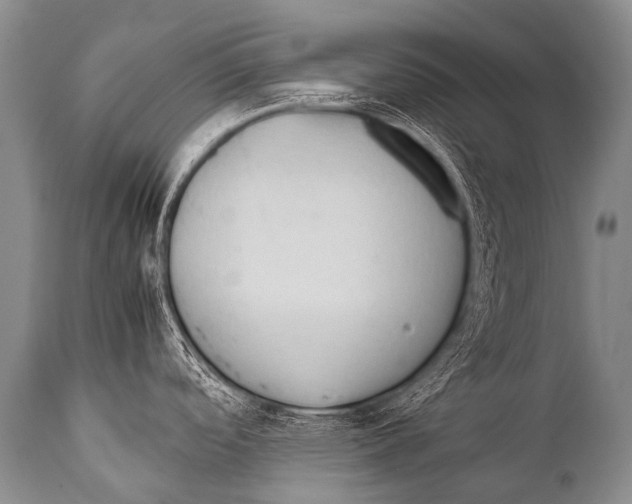X0000111951488200908241152