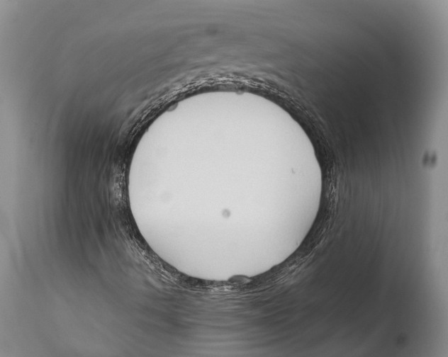 X0000111951490200908241151