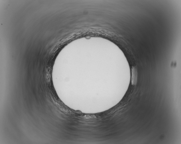 X0000111951491200908241151