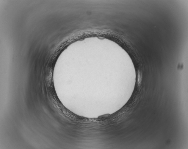 X0000111951492200908241151