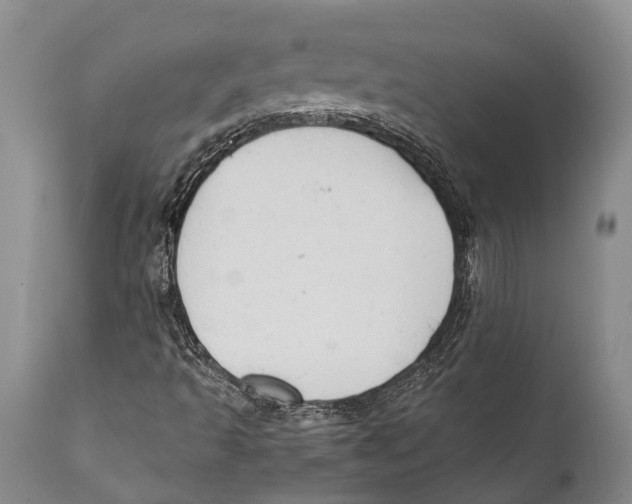 X0000111951493200908241151
