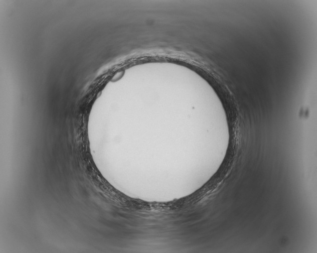 X0000111951494200908241151